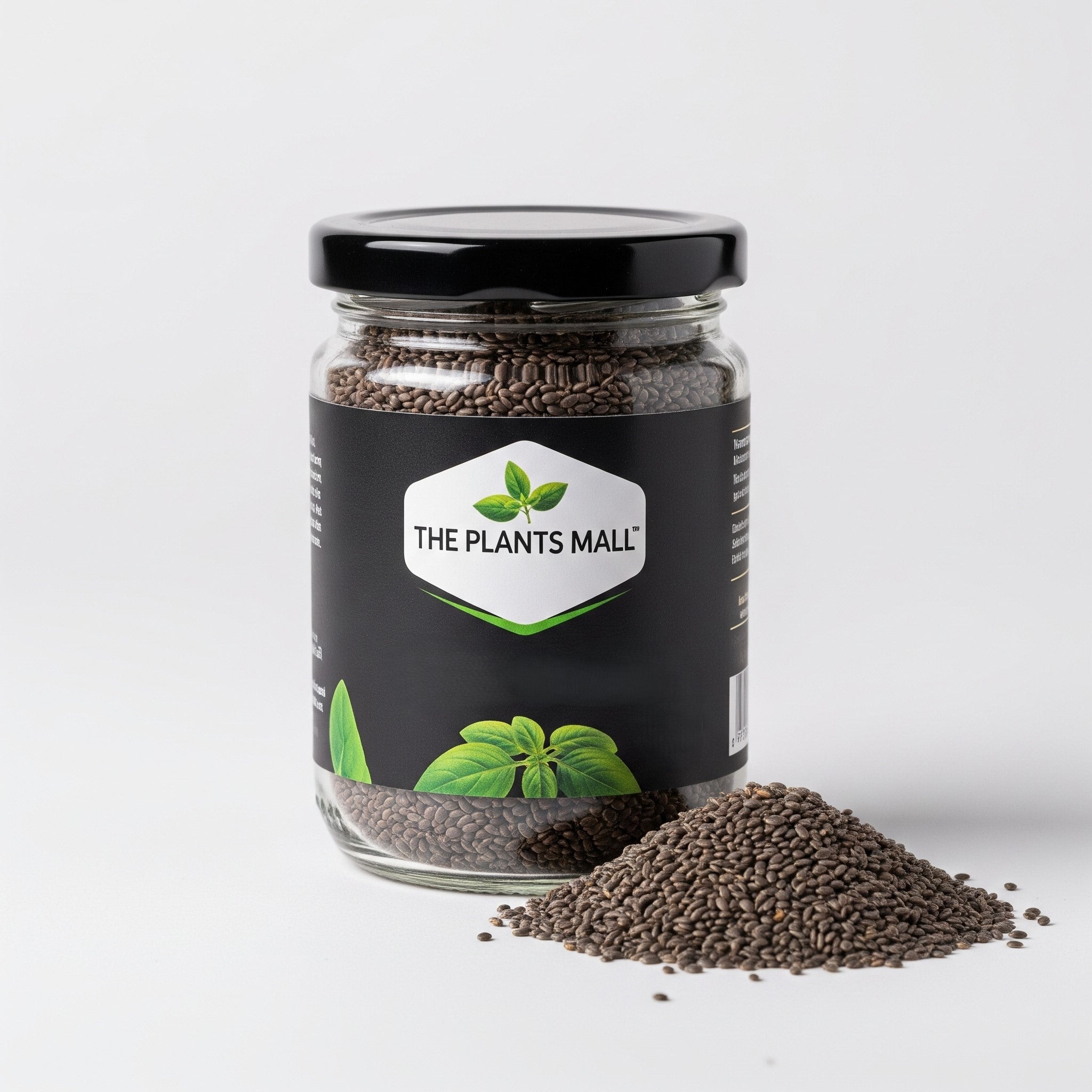 Premium quality basil seeds for falooda and rose milk