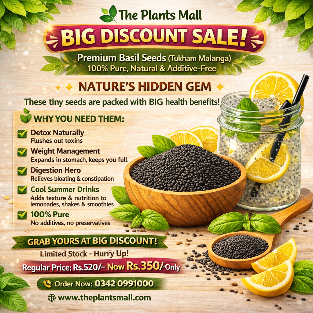 Buy 100% pure basil seeds online for detox water and digestion
