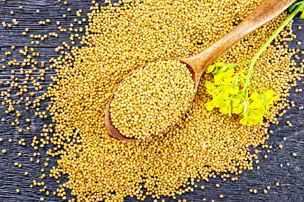 Best premium yellow mustard seeds for pickling and tempering in Pakistan