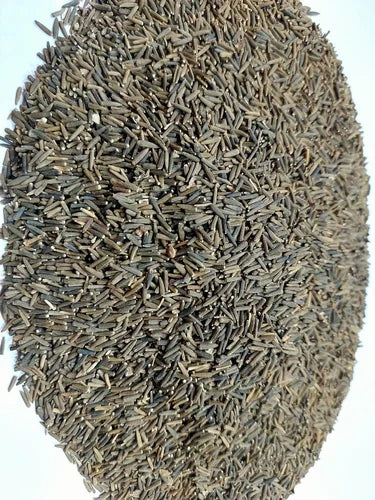 Black seed benefits for respiratory health, digestion, and hair growth