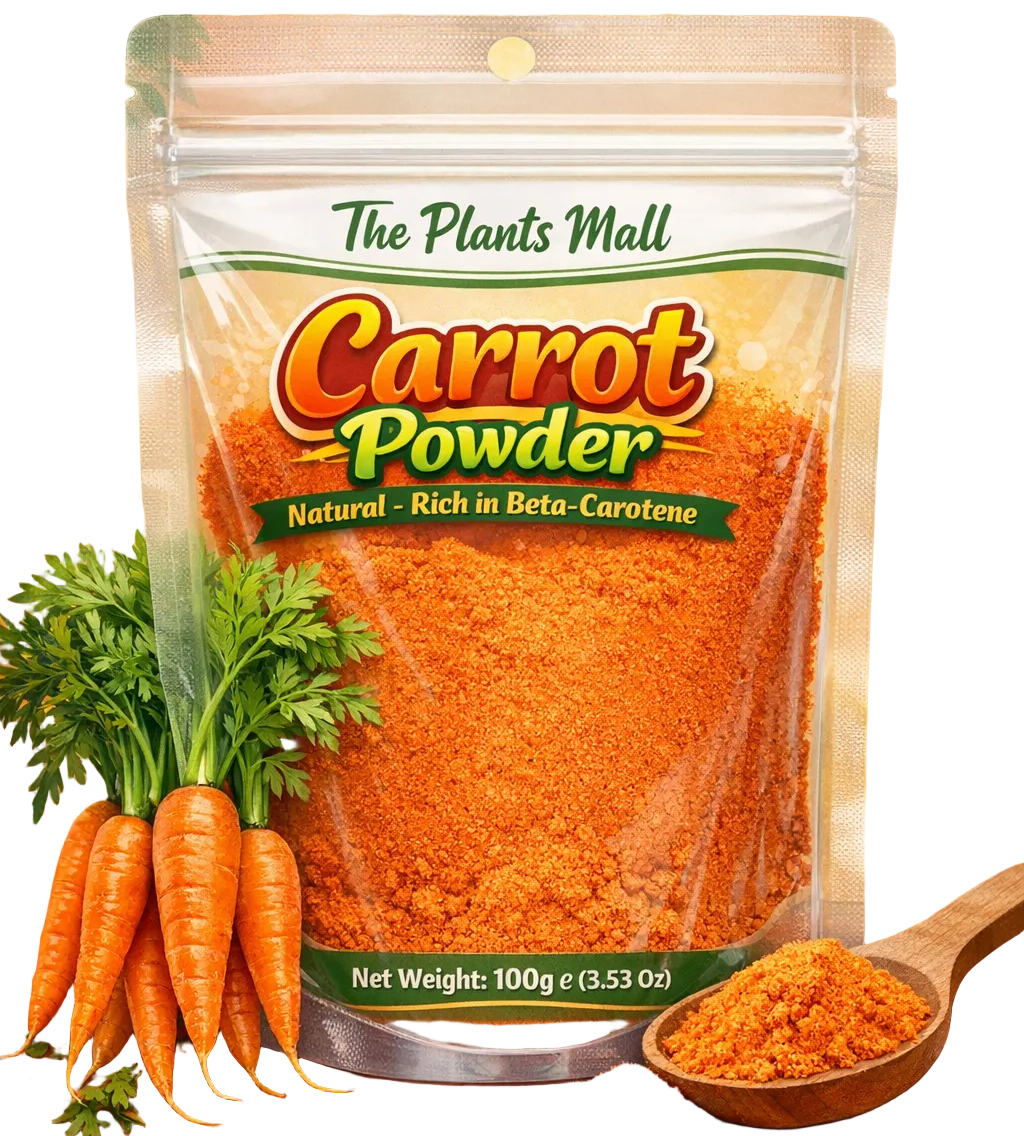 Nutrient Rich Carrot Powder for Smoothies Cooking