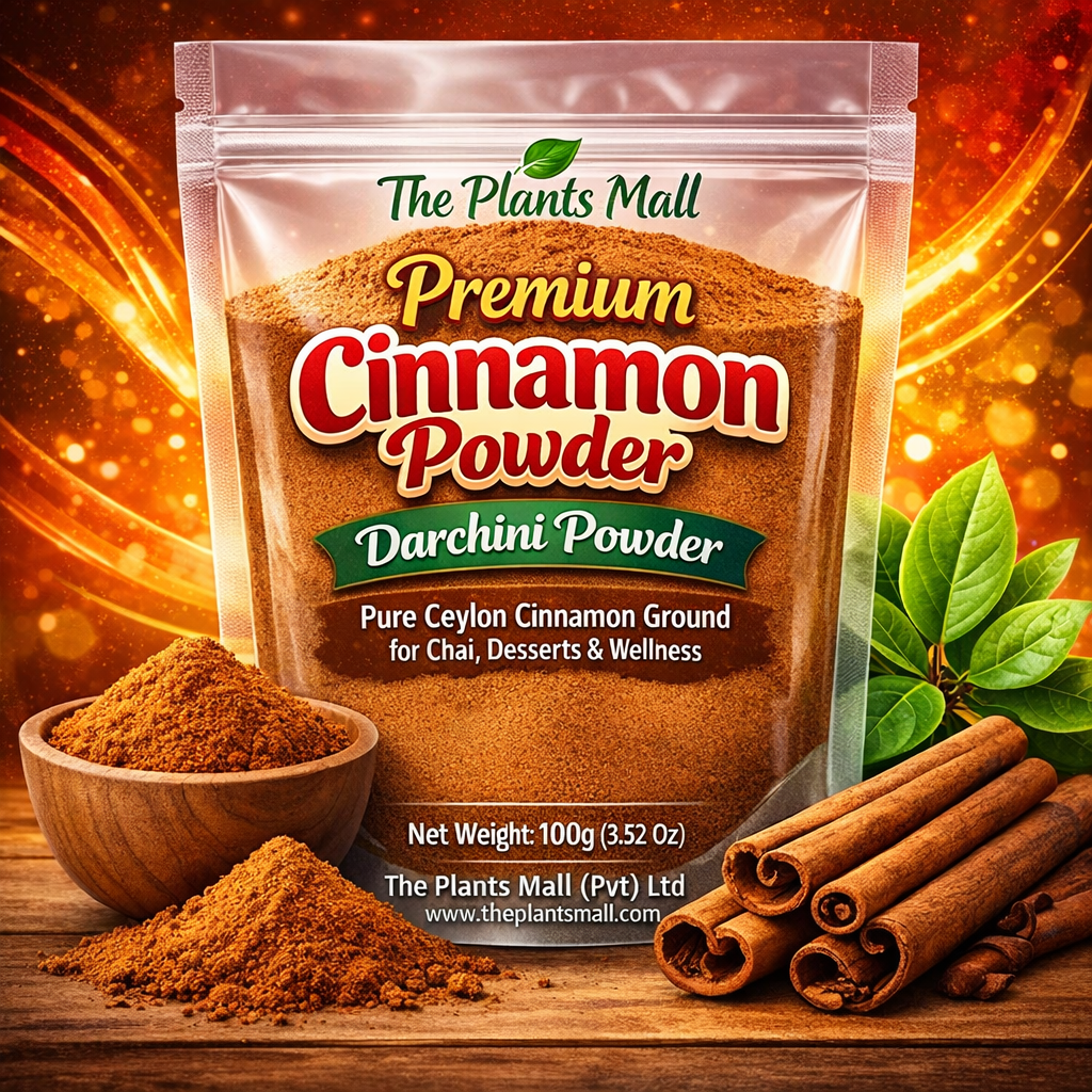 premium cinnamon powder aromatic healthy spice Pakistan