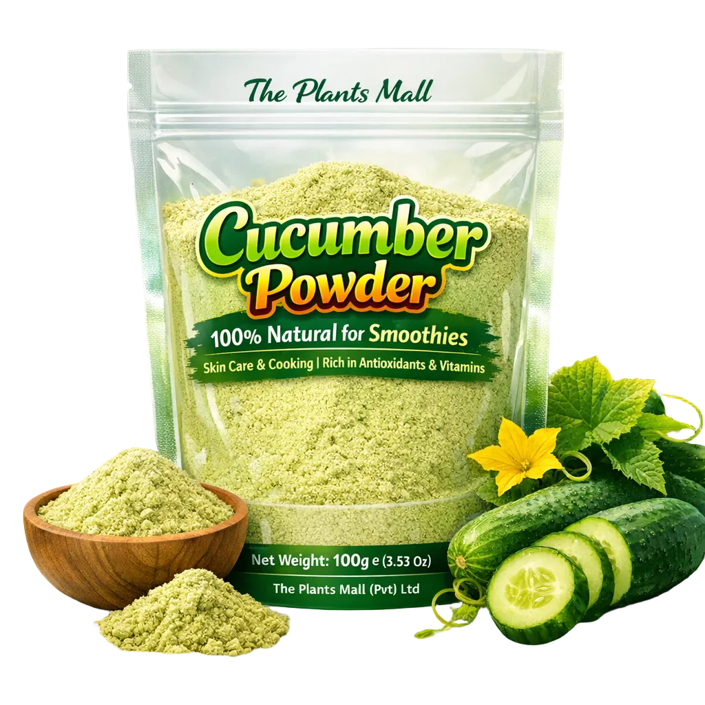 Cucumber Powder – 100% Natural