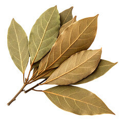 Premium Dried Bay Leaves (Tez Patta)