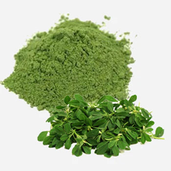 Kasuri Methi Powder from The Plants Mall Pakistan in a clear glass jar with a stainless steel measuring spoon, isolated on white background showing fine green powder texture.