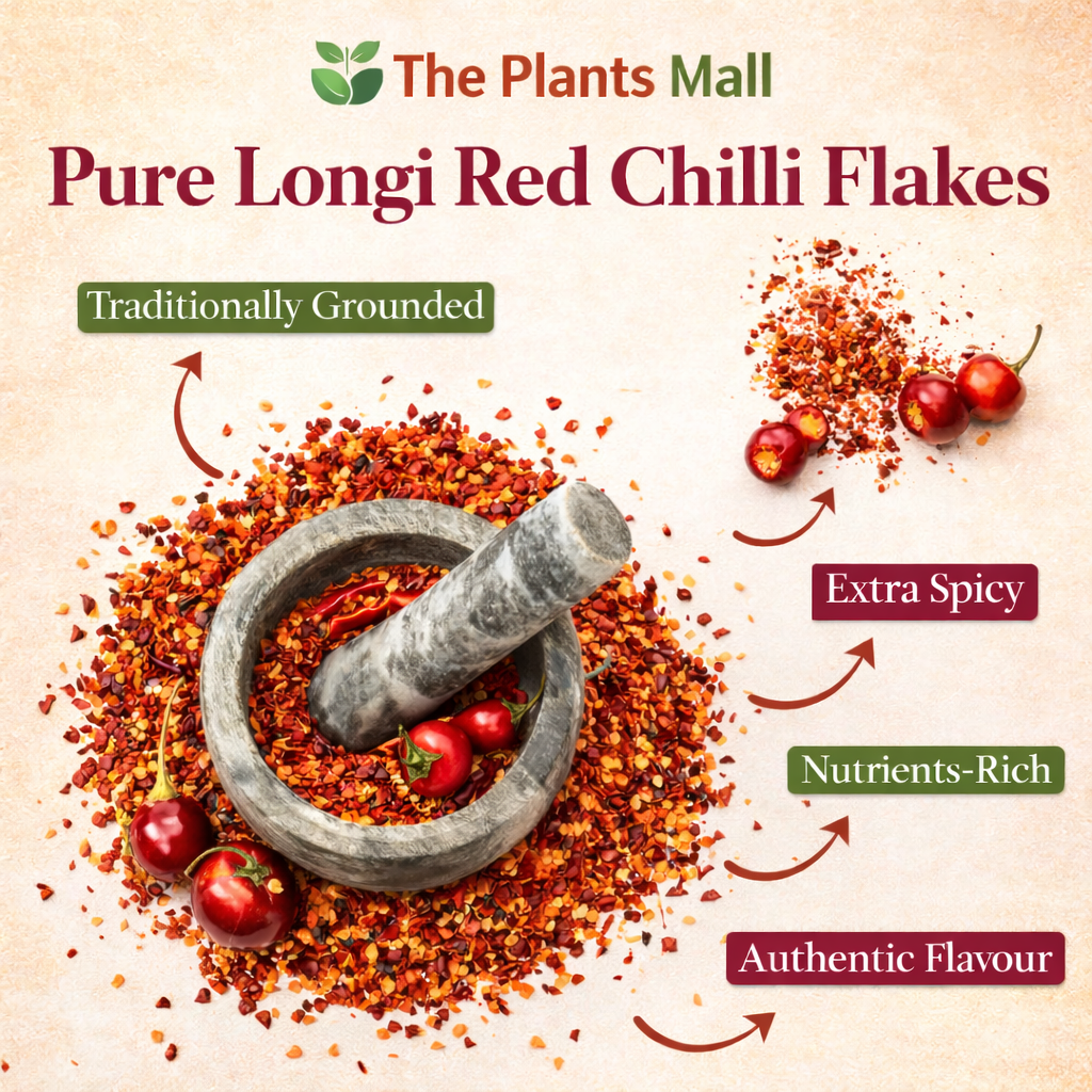 Kunri Red Chilli Flakes Texture Vibrant Red Spice