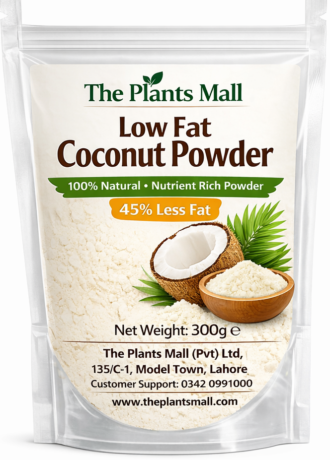 Best low fat desiccated coconut powder for creamy curries and baking in Pakistan