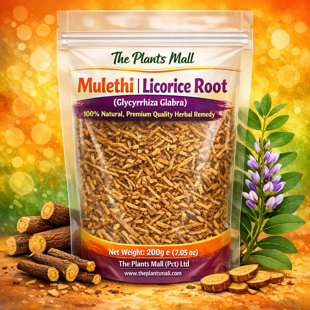 Dried organic licorice root pieces – natural herbal medicine for cough, sore throat and digestion