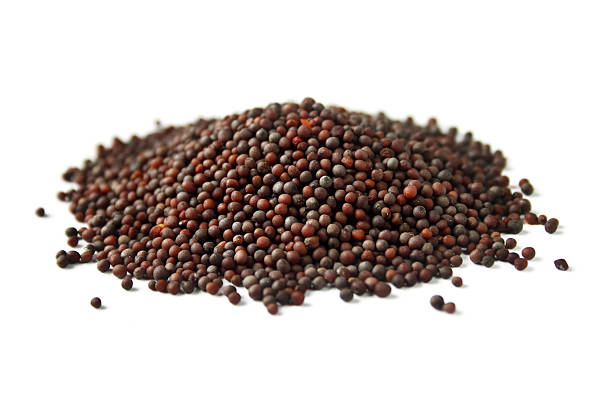 Black Mustard Seeds (Rai Dana)