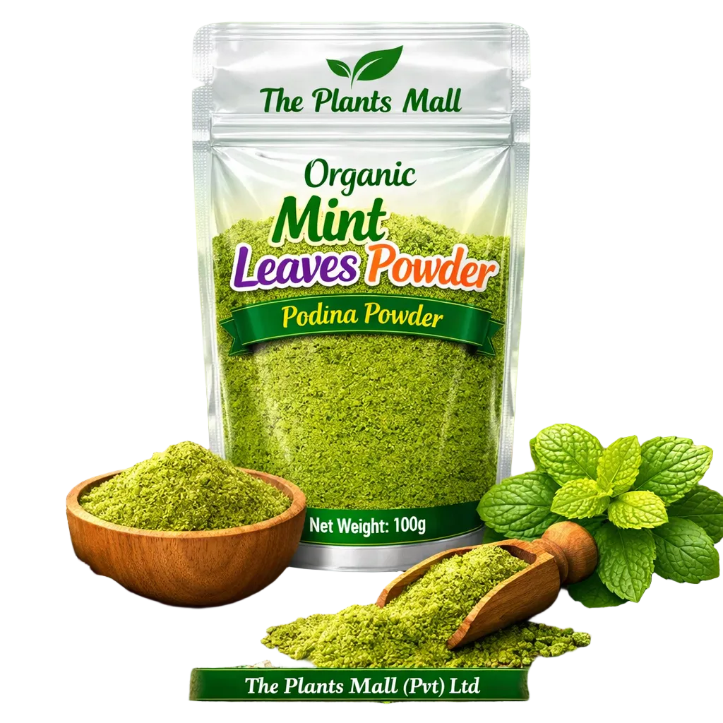 podina powder fresh aromatic herbal powder Pakistan