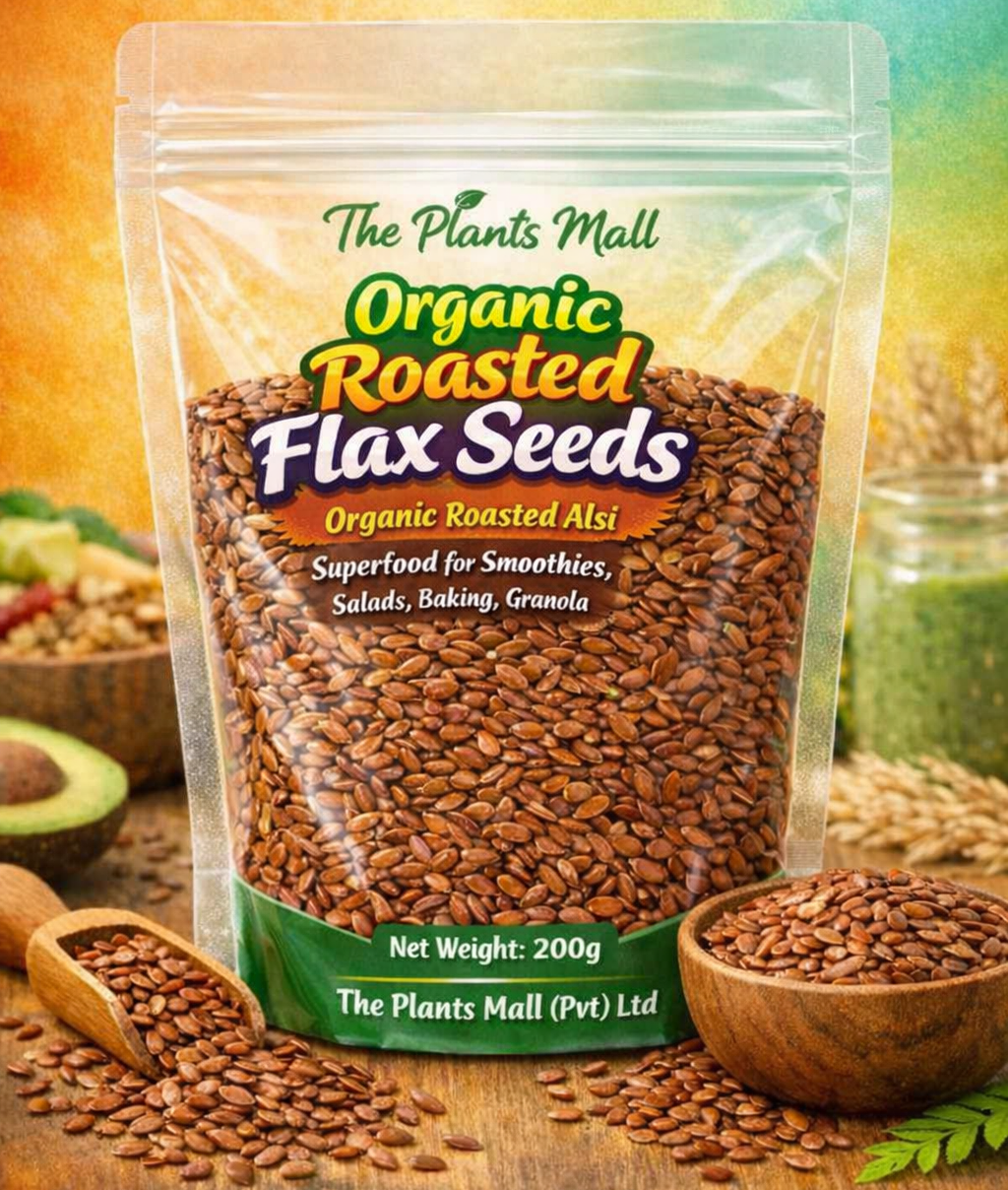 roasted alsi seeds natural healthy food Pakistan