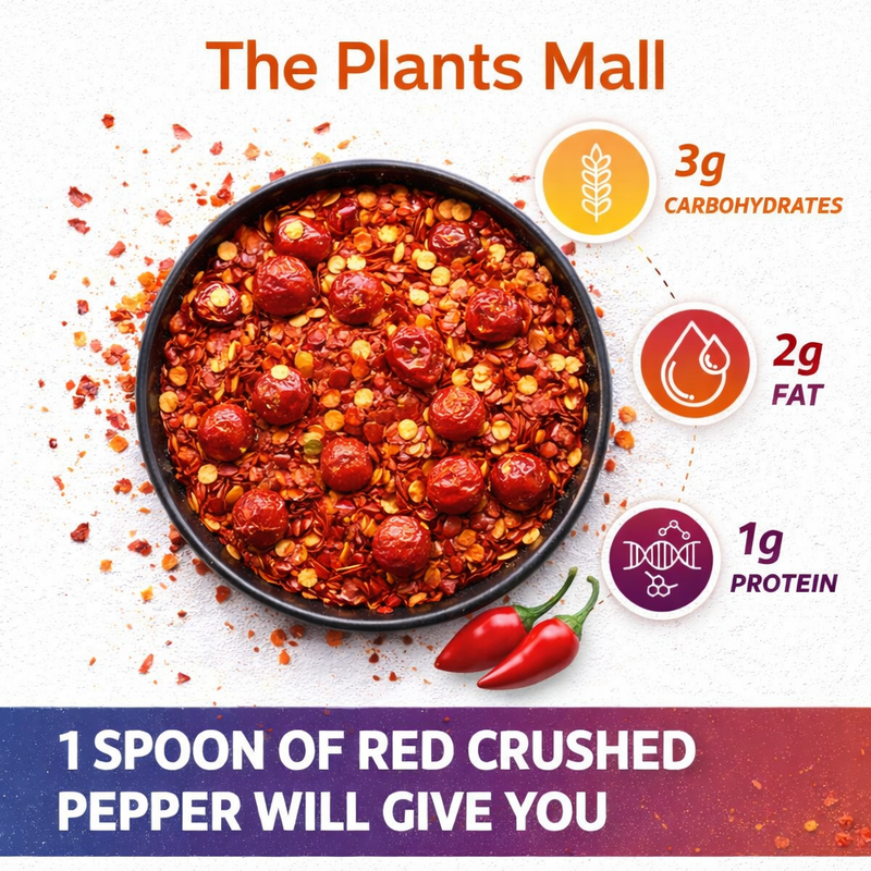 Spicy Red Chilli Flakes for Cooking & BBQ Pakistan