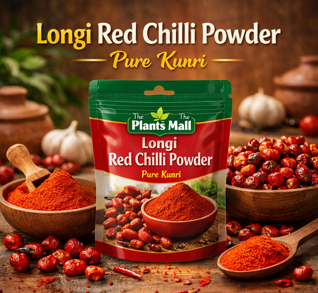 Kunri Red Chilli Powder Texture Vibrant Red Spice
