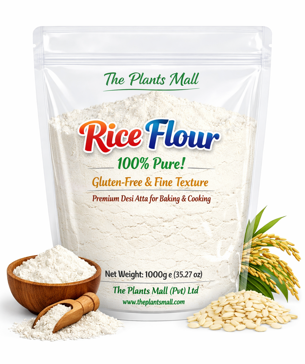 Gluten-Free Rice Flour Close View Baking & Cooking