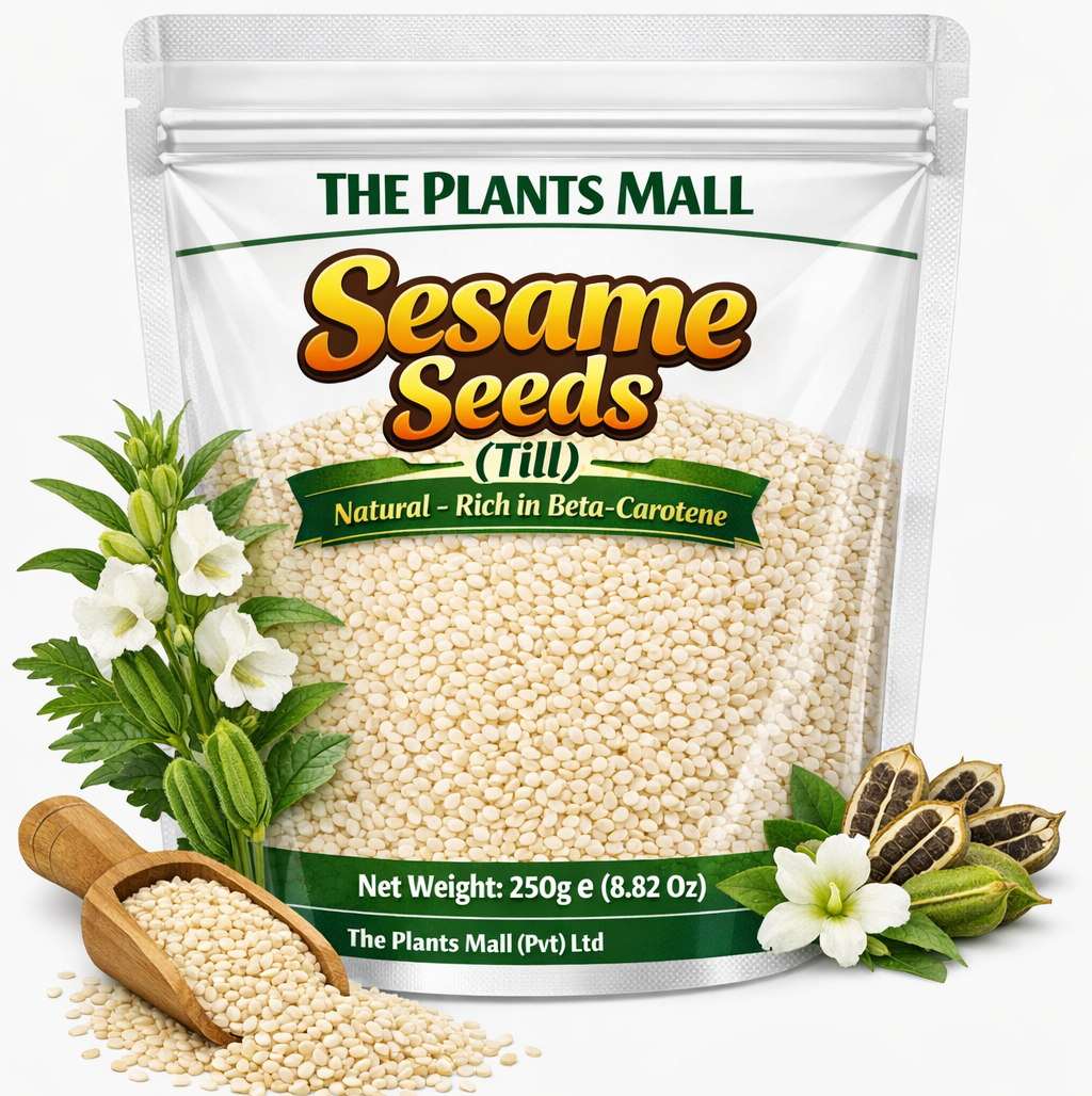 Farm-Grown White Sesame Seeds The Plants Mall Pakistan