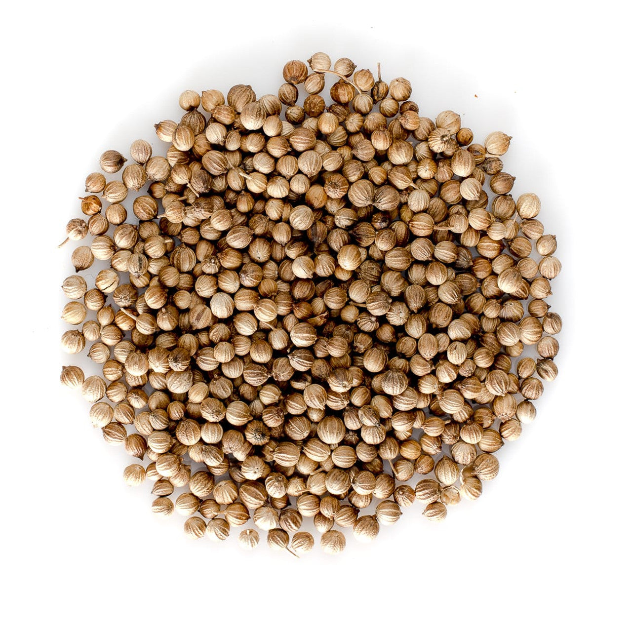 Whole Coriander Seeds – Fresh, Fragrant & Full of Flavor