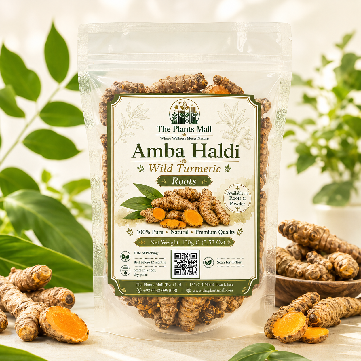 Amba Haldi Roots | Pure Wild Turmeric Roots for Cooking, Pickles & Ayurvedic Wellness